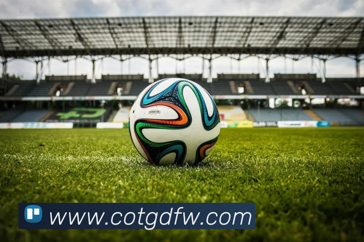 数据分析功能
